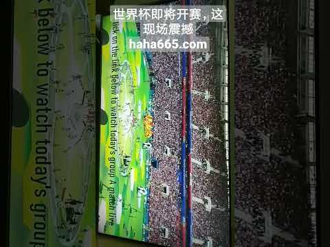 波鴻足球隊,簡介,kaiyun·开云（中国）,kaiyun·开云（中国）,kaiyun·开云（中国）app,kaiyun·开云（中国）官网,kaiyun·开云（中国）下载,kaiyun·开云（中国）入口