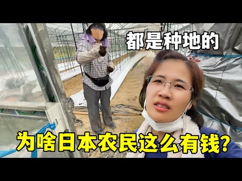 國米球迷吹,嘘卢卡库行,为过激,kaiyun·开云（中国）,kaiyun·开云（中国）app,kaiyun·开云（中国）官网,kaiyun·开云（中国）下载,kaiyun·开云（中国）入口