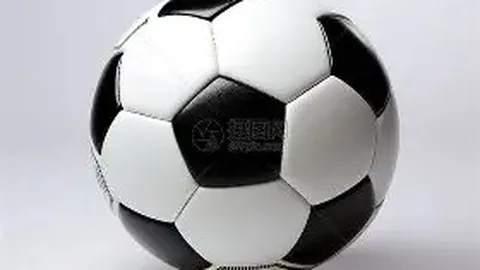 “尤文官方：若纽卡斯尔无缘下赛季欧洲赛事，托纳利渴望回归AC米兰”