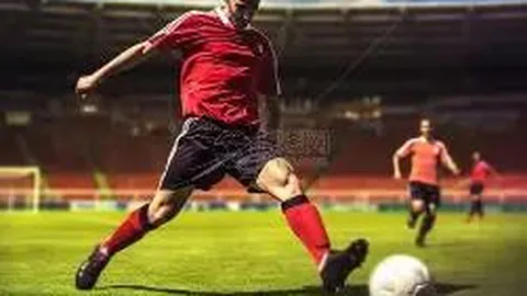 kaiyun·开云（中国）