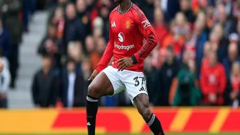 kaiyun·开云（中国）